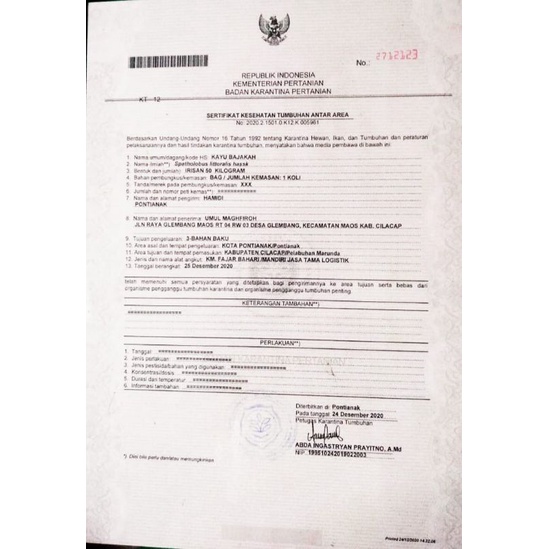 KAYU BAJAKAH ASLI KALIMANTAN 250gr ORIGINAL KALALAWIT MERAH AKAR KUNING TAMPALA SUPER MERAH OBAT KANKER TUMOR AKAR BAJAKAH