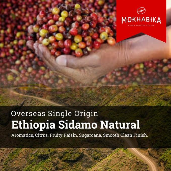 

>>>>>] Mokhabika Specialty Coffee Ethiopia Sidamo Natural 200 Gr