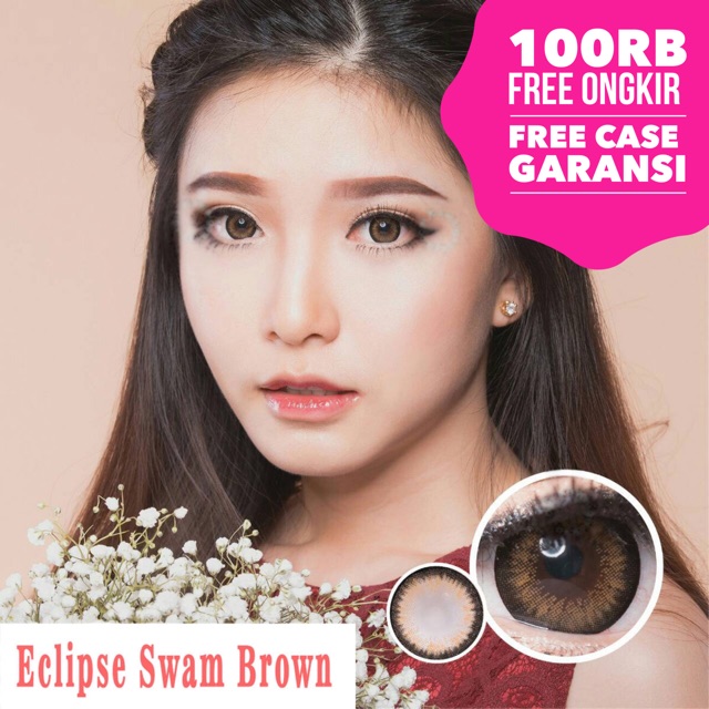 mini Swan Gray brown softlens original korea