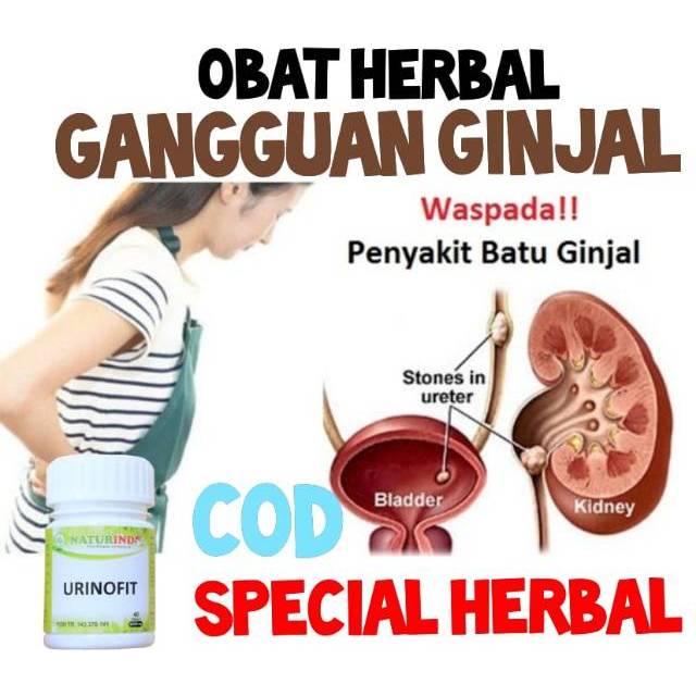 obat ginjal naturindo herbal batu ginjal ragang ginjal obat ginjal bengkak urinofit sakit ginjal