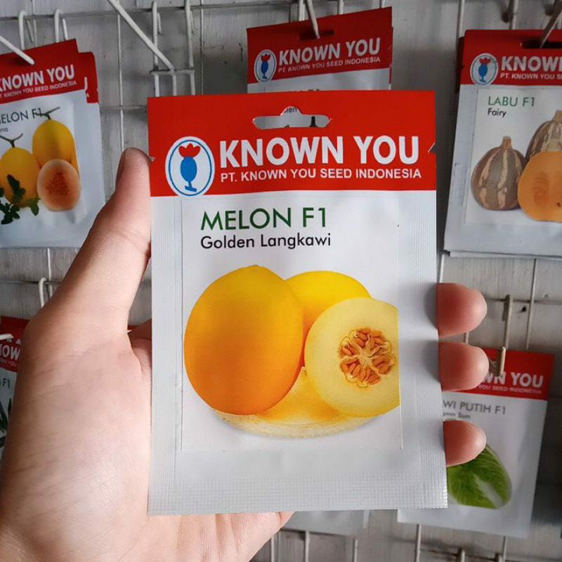 Benih Bibit Melon Golden Langkawi - Know You Seed
