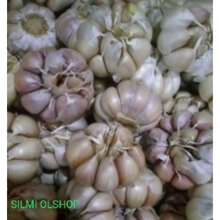 

BAWANG PUTIH BERSIH fresh garlic 500 gram