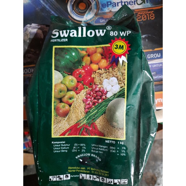 Swallow 80 WP