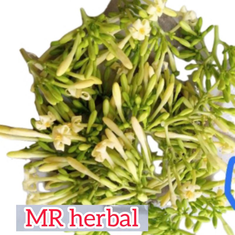 

Bunga pepaya karayunan segar 500 gram