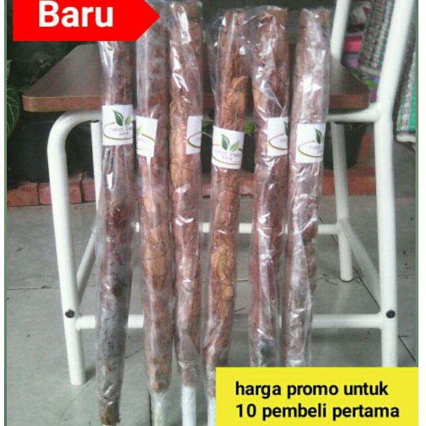 Turus Sabut Kelapa Untuk Tanaman Rambat