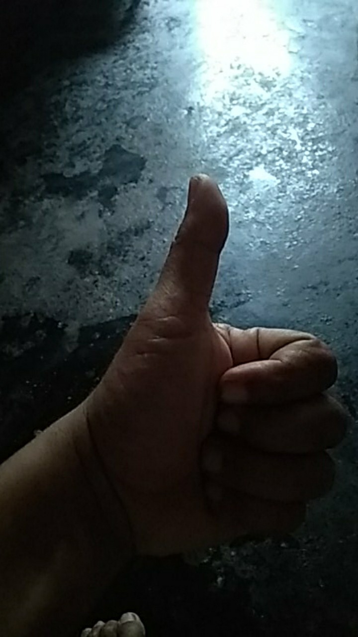 Benih Padi Unggul If16 Bibit Padi If 16 Bobot 5kg