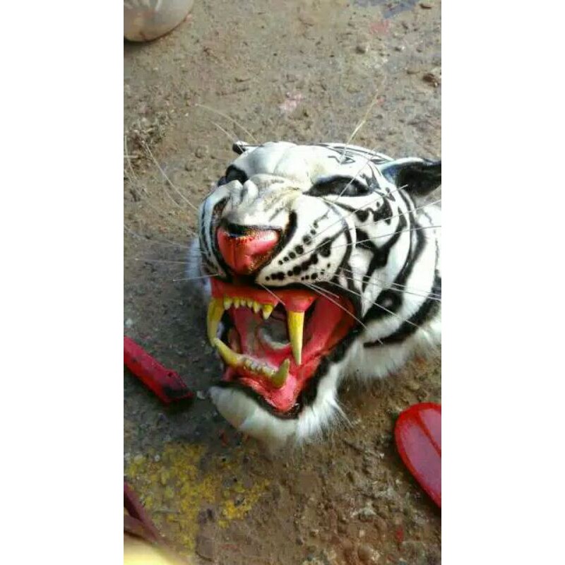 bisa JTR kepala macan harimau TOPENG Macan Barongan devil