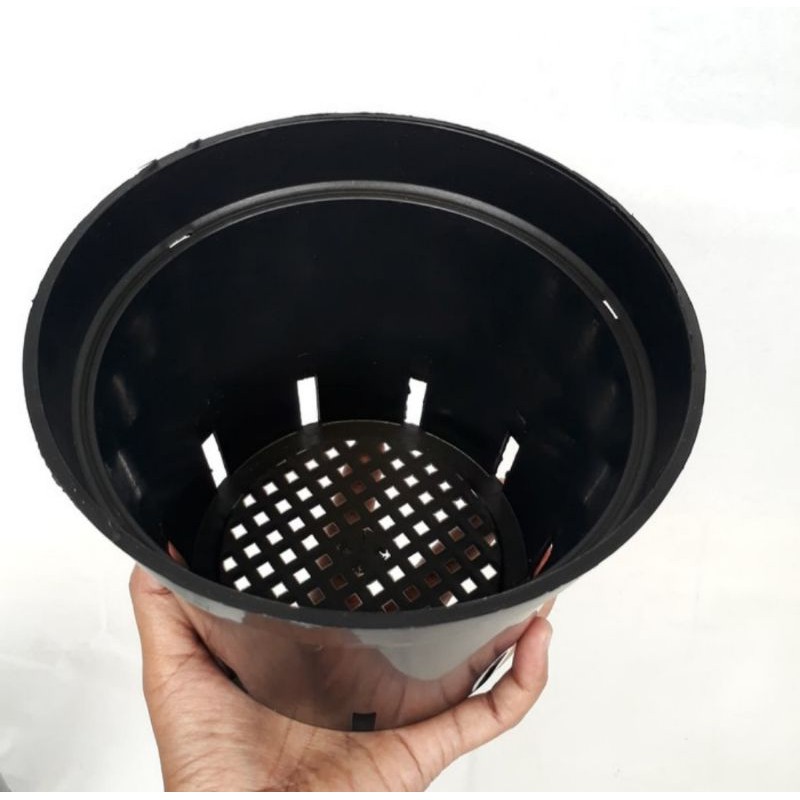 pot anggrek 17, pot cattelya, pot anggrek bulan hitam