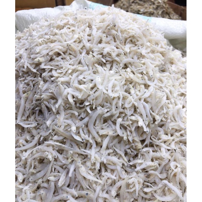 

Ikan Teri Medan