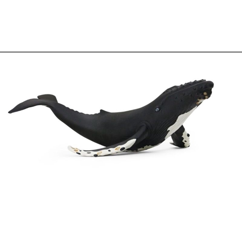 Mainan Boneka Remas Simulation Paus Pembunuh Great Whale