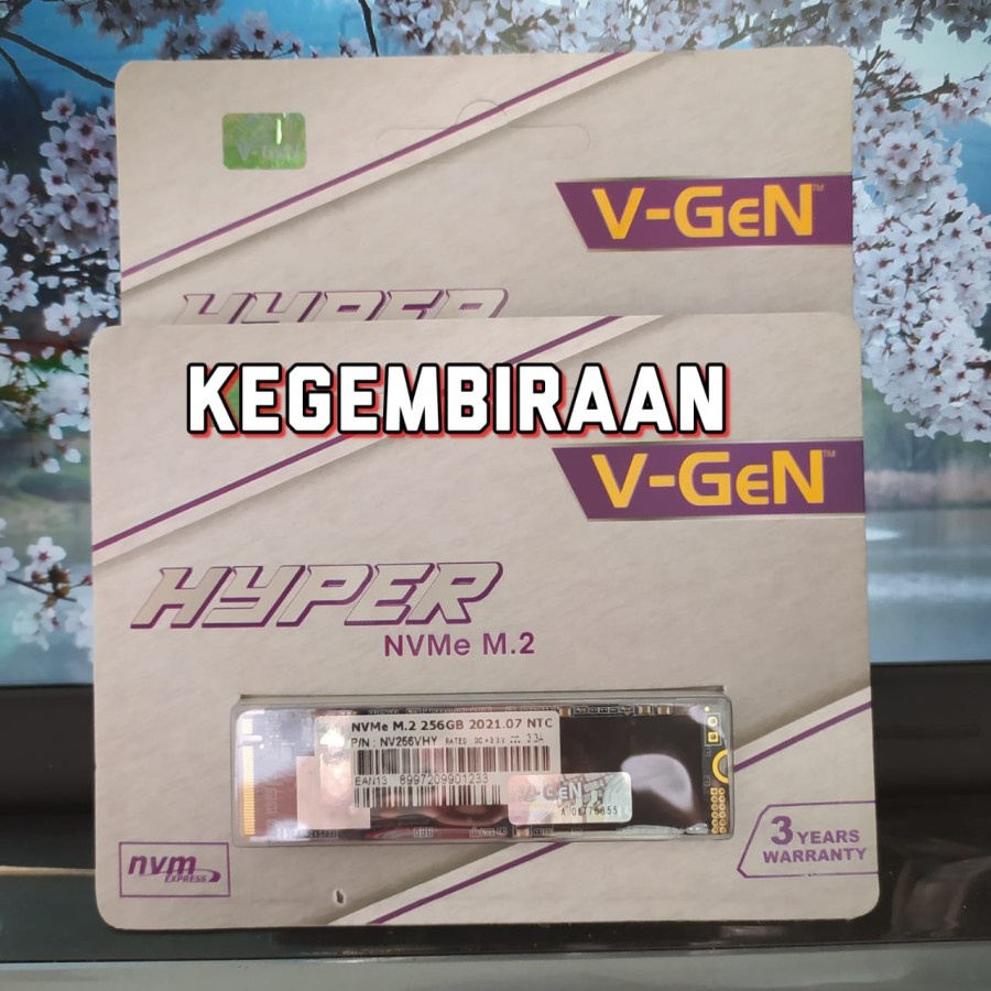 V-GEN SSD 256 GB M.2 NVMe HYPER VGEN SSD 256GB M2 NVME HYPER
