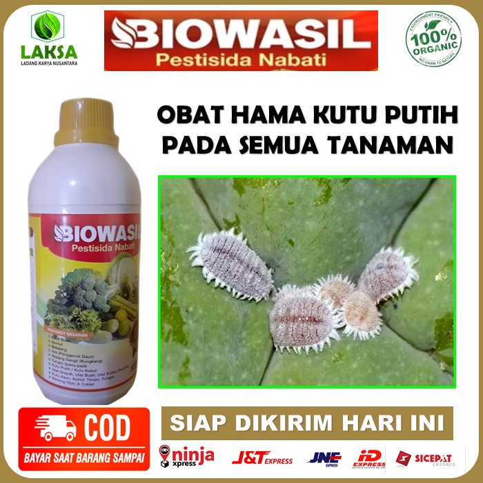 Pestisida Biowasil Obat Pembasmi Hama Kutu Putih - Obat Hama Kutu Putih - Biowasil Pengendali Hama K