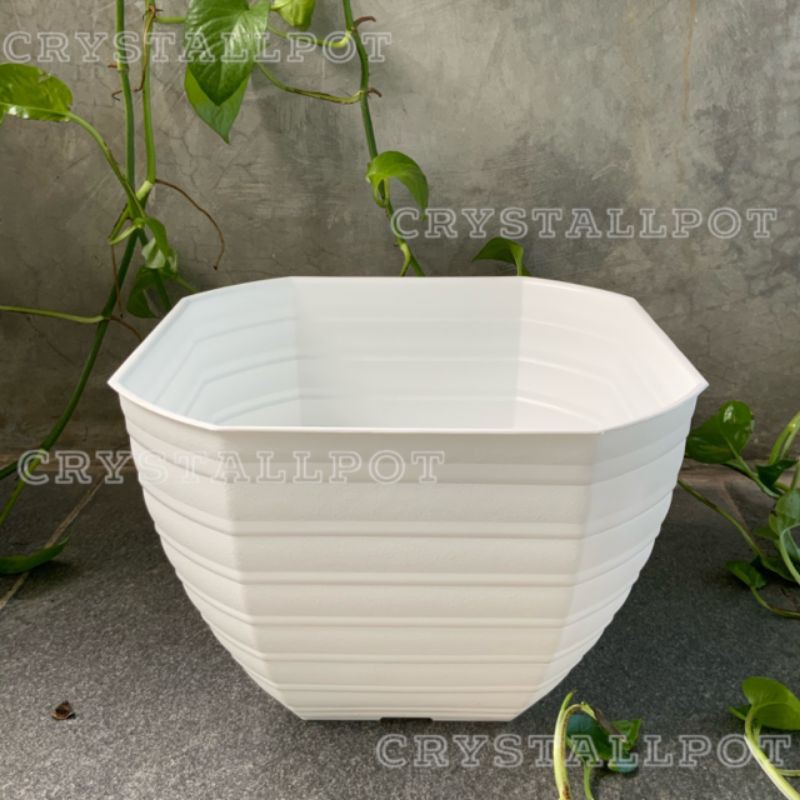 pot bunga tanaman segi delapan putih motif tawon 27cm - TIP 27