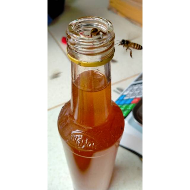 

Madu hutan/madumurni/madukuning manis/madulebahliar/maduoriginal/maduklanceng/madusarang/honey/madu.