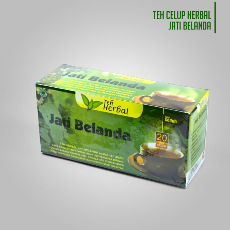 

Teh Herbal Jati Belanda | Mengurangi Kolesterol dan Lemak Tubuh