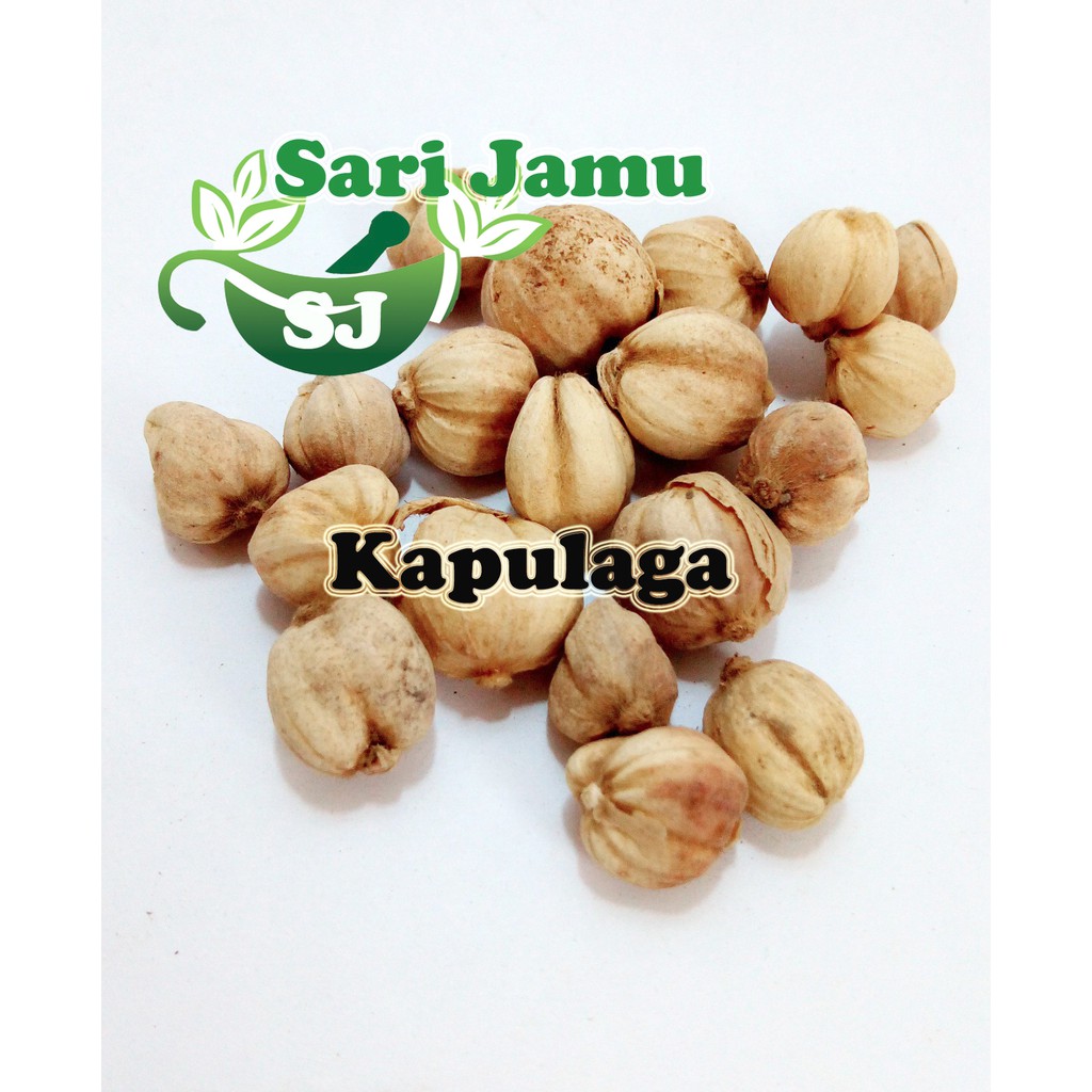 

Jamu Herbal Tradisional Kapulaga 500 Gr Untuk Menyembuhkan batuk