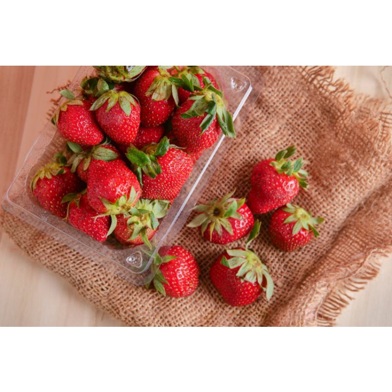 

Strawberry Segar Fresh