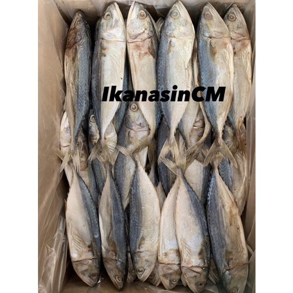 

IKAN ASIN PEDA BANYAR
