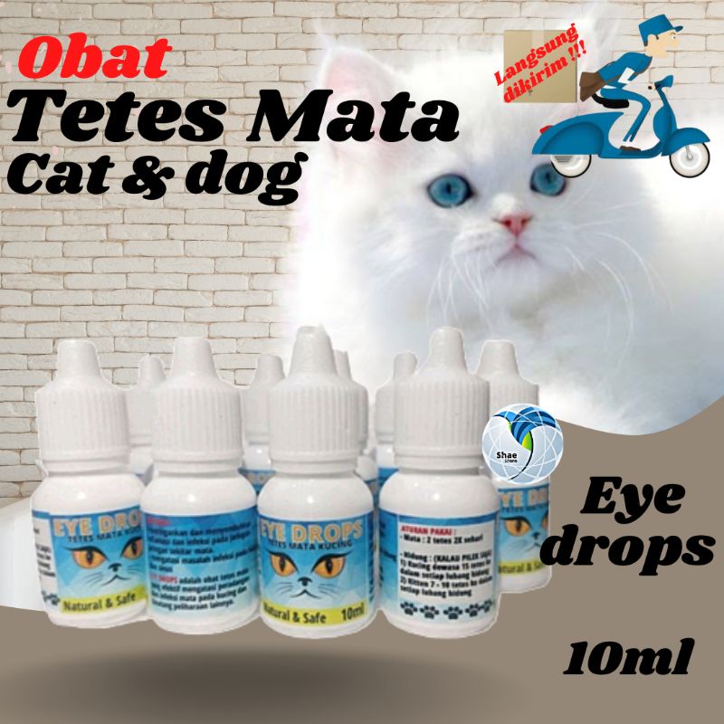 Obat tetes mata Kucing EYE DROPS Obat Sakit Mata Kucing Belekan Iritasi Infeksi Berair