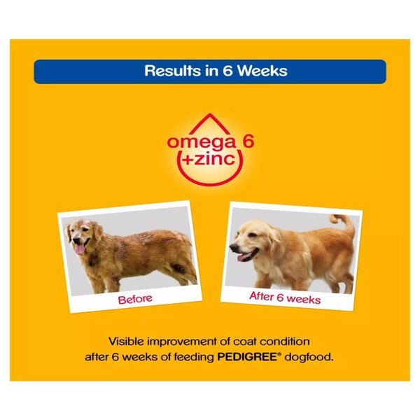 Makanan Anjing Pedigree Chicken 400gr 400 gr gram Kaleng Basah Dogfood