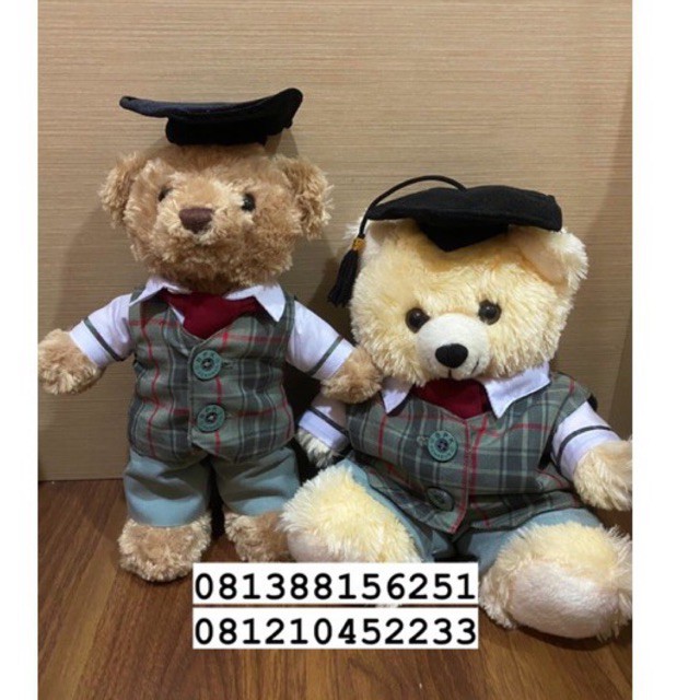 Boneka Teddy Bear wisuda bpk penabur hadiah wisuda graduation gift custom seragam sesuai sekolah