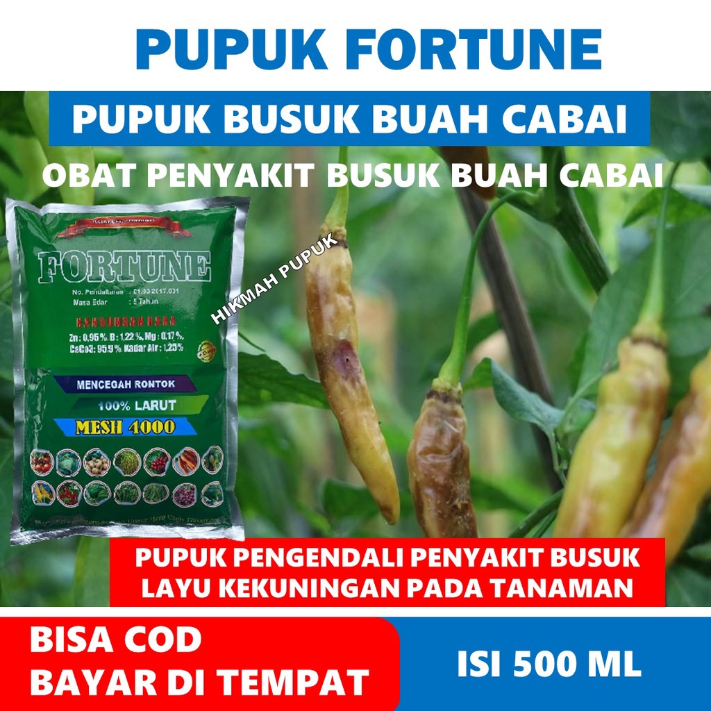 (PROMO COD) FORTUNE isi 1KG Obat Busuk Buah Pada cabe/cabai - Obat Layu Pada Tanaman cabe/cabai - Ob