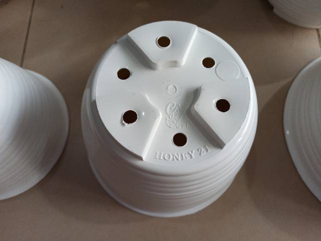 Pot Honey / Pot Tawon 21