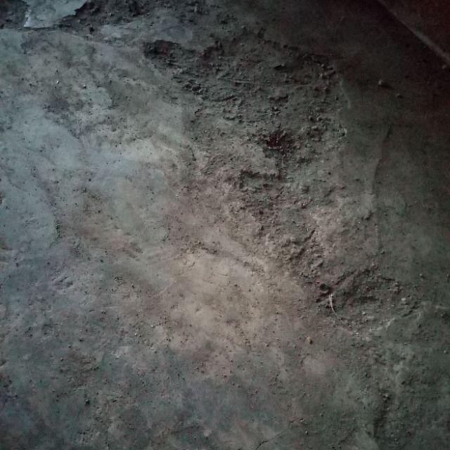 Obat Nyamuk Bakar Nomos