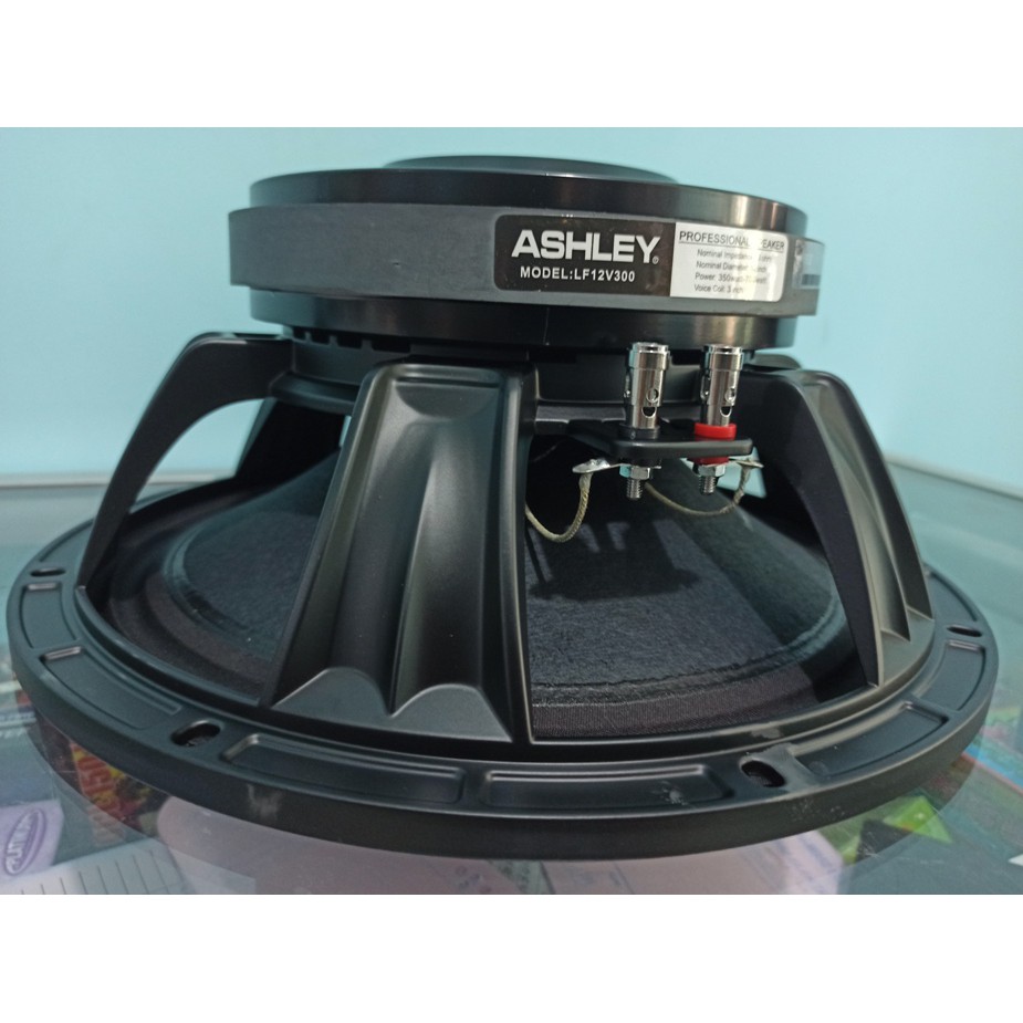 PROFESIONAL LOAD SPEAKER ASHLEY 1000W SUPER BASS 12 INCH SPEAKER BADAK