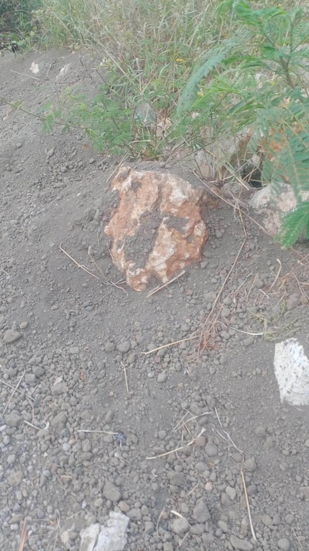 Laundry Ball Clean Bola Pencuci Baju Anak Di Mesin Cuci Mencuci Pakaian Deterjen