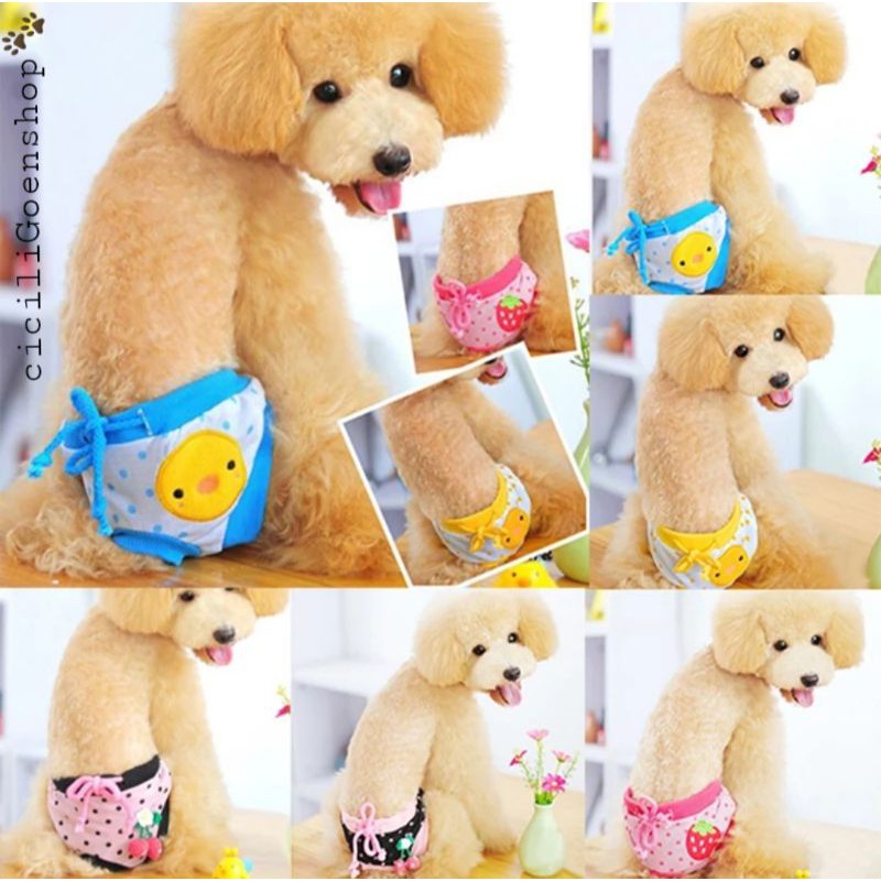 Celana dalam anjing kucing underwear pet loop pant panties import