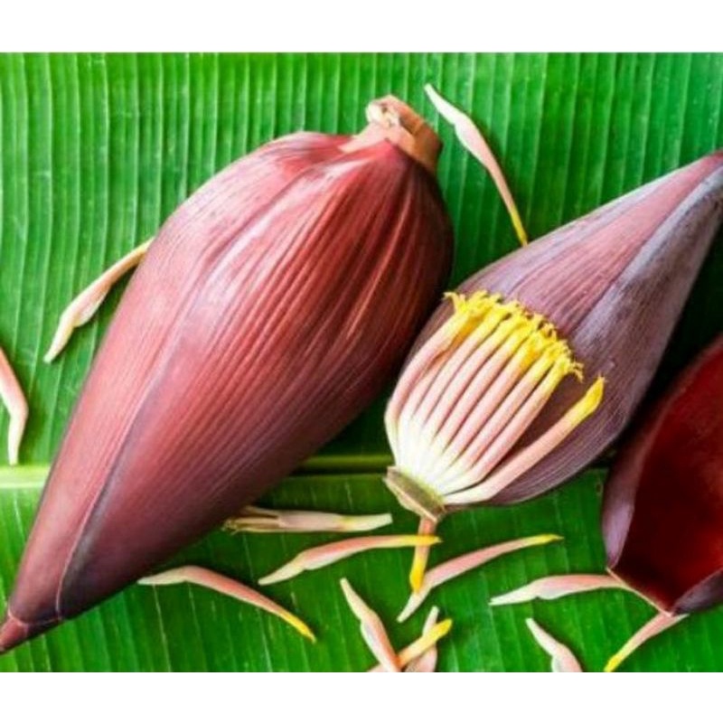 

Ontong/Jantung pisang (bijian)