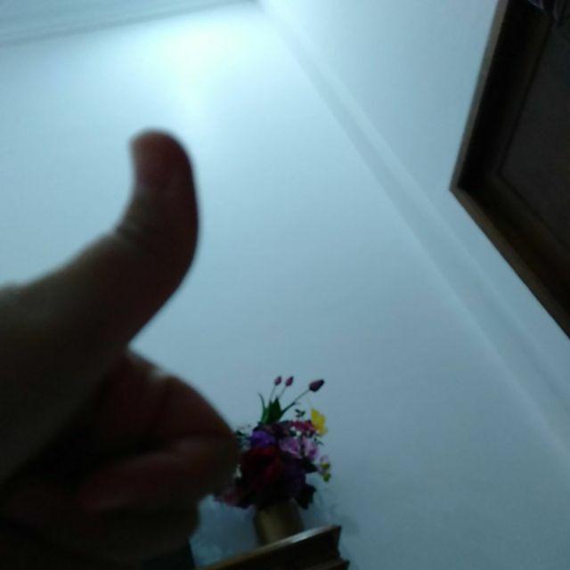 Kalingga Pendek Kemeja Batik Pria Full Furing Bahan Katun Sragenan