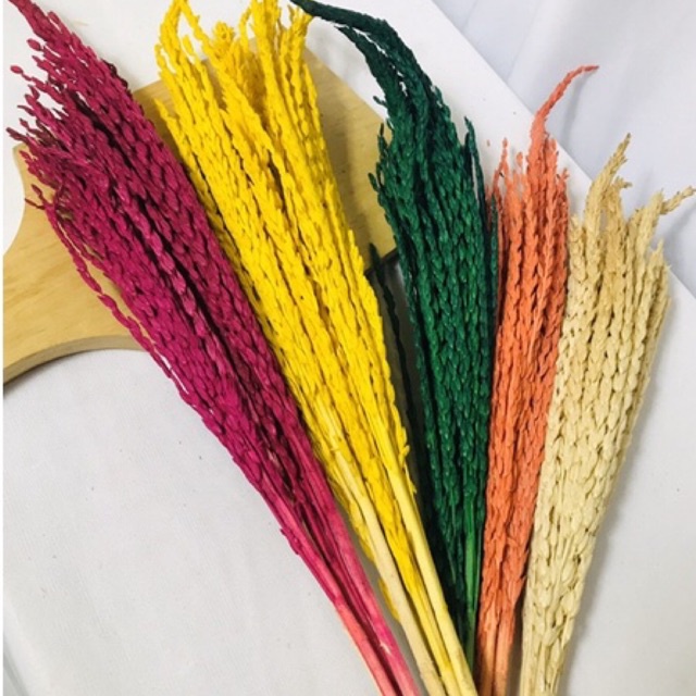 Bunga Kering / Bucket Bunga Kering / Dried Flower / Bunga Jagung Kering / Jagung Kering / Bunga Keri