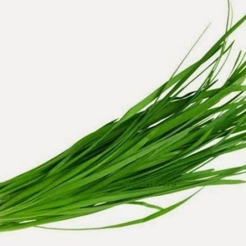 

Daun Kucai