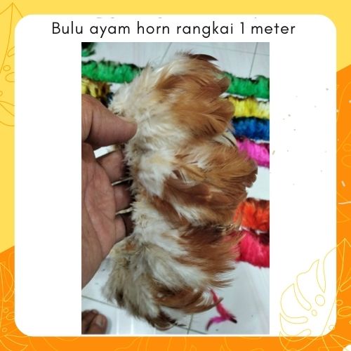 Bulu Ayam Horn Meteran Warna Natural Coklat untuk Kemoceng Hiasan Kepala Adat Papua Dayak Bando Bulu