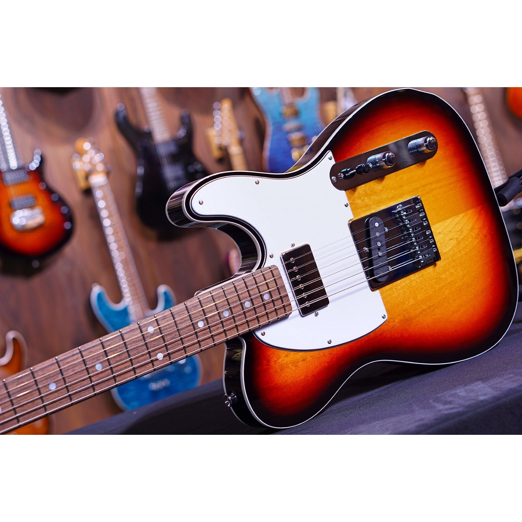 ESP RON WOOD 3 Tone Sunburst E8171202