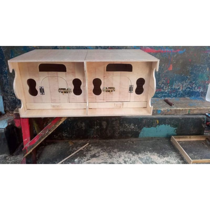 GUPON BURUNG DARA MERPATI GANDENG TANPA CAT