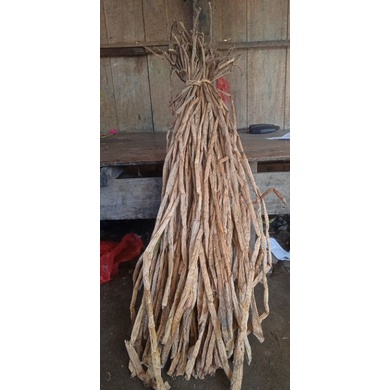 Enceng Gondok Kering