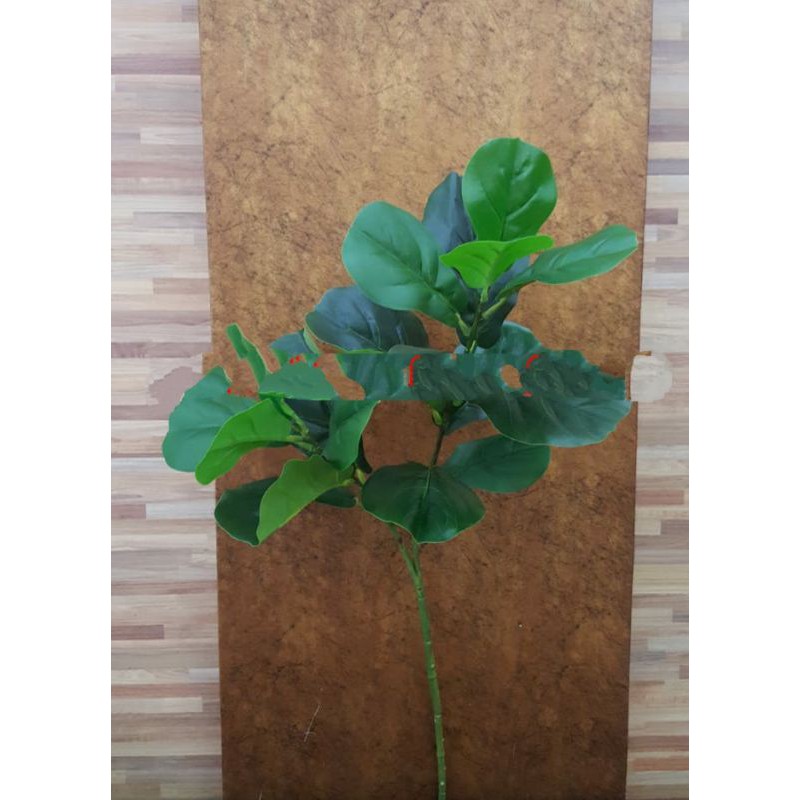 pohon ketapang artificial ketapang biola palsu fiddle leaf fig murah