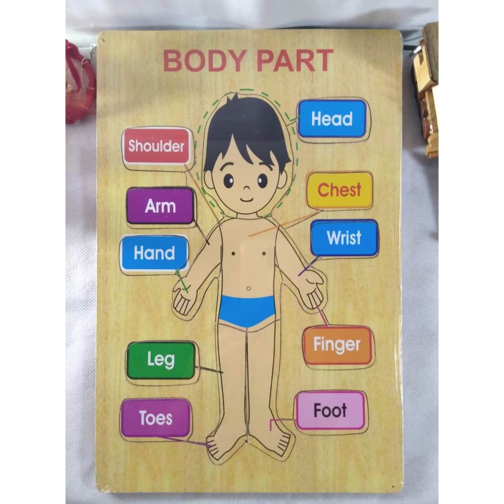 PUZZLE KAYU. MAINAN EDUKASI. PUZZLE GAMBAR BODY PART BAHAN KAYU. Riens Collections