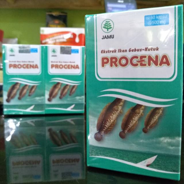 Procena kapsul ekstrak ikan gabus