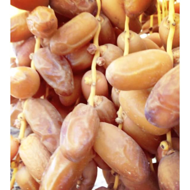 

Kurma tunisia / kurma tangkai /