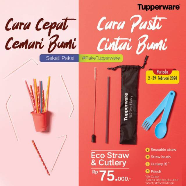Eco Straw & Cutlery