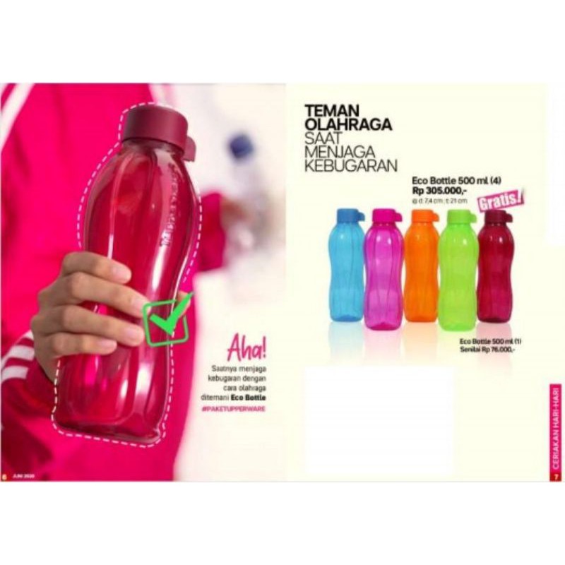 Tupperware Eco Bottle 500ml