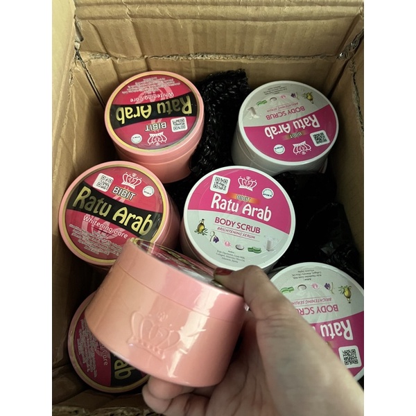 Bibit Ratu Arab Asli