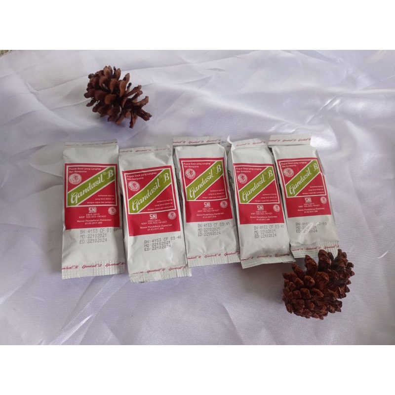 Pupuk Buah dan Bunga Gandasil 100 gram.