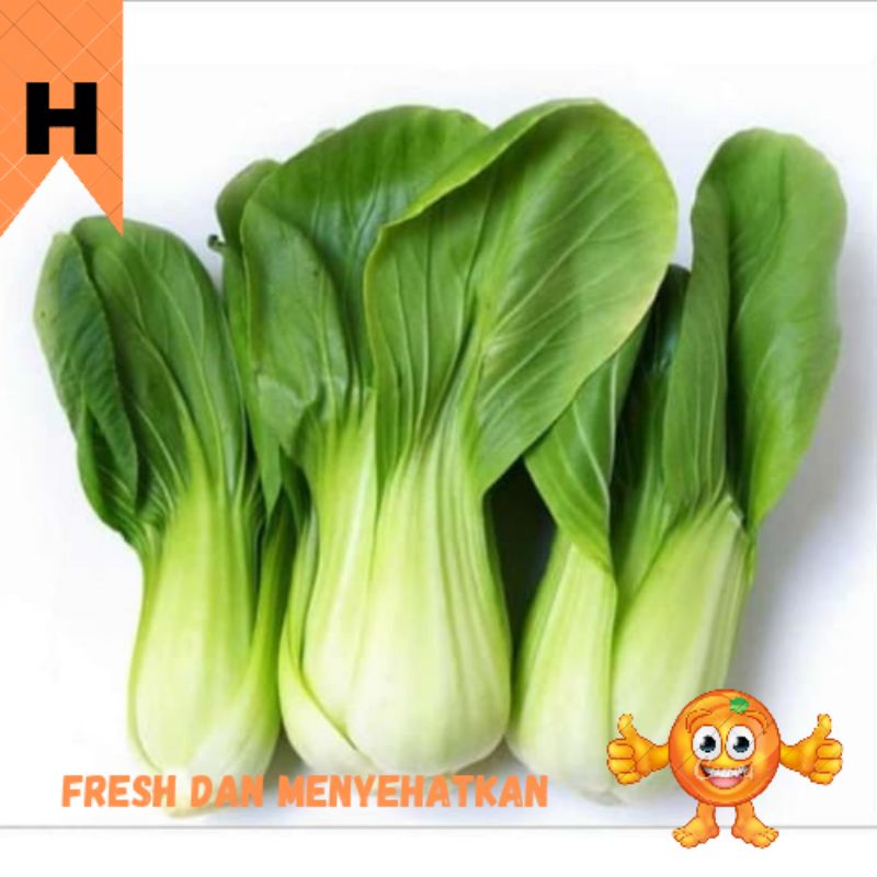 

SAYUR PAKCHOY 250 GRAM