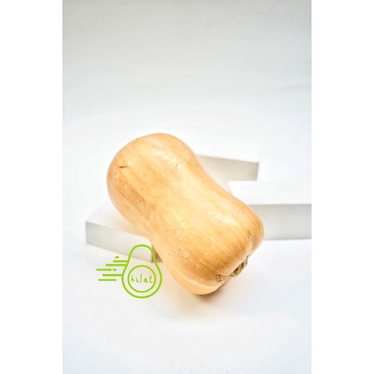 

Butternut Pumpkin / Butternut Squash / Labu Madu ( Per buah)