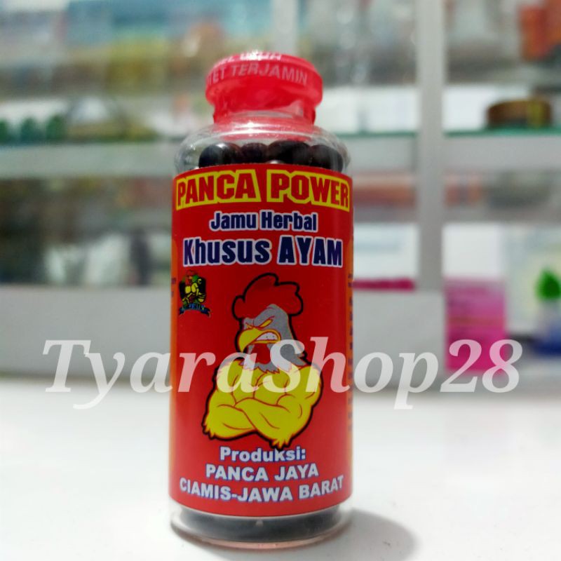 PANCA POWER - PANCA JAYA - 120butir